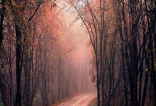 体育教案的五个基本步骤,体育教案的四个部分