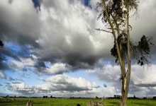 小学语文ppt教学课件,小学语文ppt免费