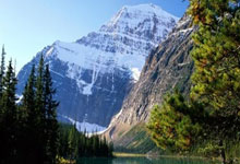 课件ppt免费下载语文,语文课件ppt模板下载