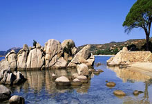 课件帮网页版,课件助手